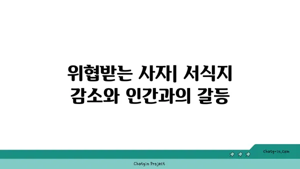 사자의 생존 전략| 아프리카 초원의 지배자 | 사자, 야생동물, 생태계, 포식자, 생존