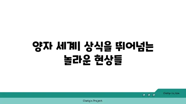 양자역학의 세계| 기묘한 현상과 놀라운 비밀 | 양자 물리학, 양자 현상, 양자 컴퓨팅