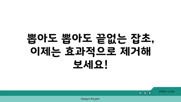 잡초 제거 꿀팁| 뽑아도 뽑아도 끝없는 잡초, 효과적인 제거 방법 대공개 | 잡초 제거, 잡초 관리, 정원 관리, 텃밭 관리, 친환경 제초