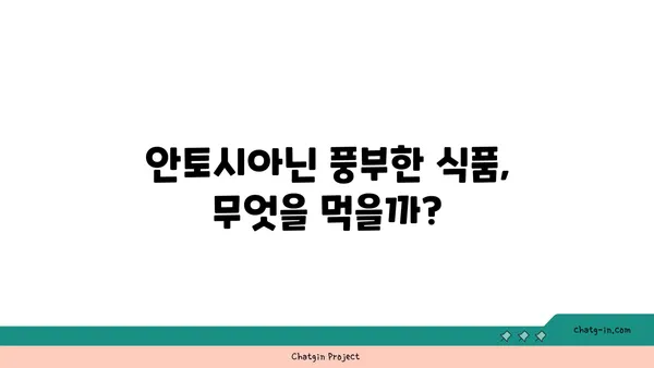 안토시아닌의 효능과 섭취 방법| 건강을 위한 푸른빛 솔루션 | 안토시아닌, 항산화, 눈 건강, 뇌 건강, 식품