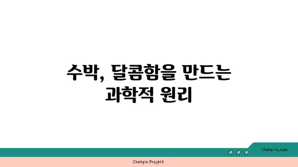 수박의 달콤함, 과학으로 풀어보는 비밀 | 수박, 과일, 당도, 과학, 재배