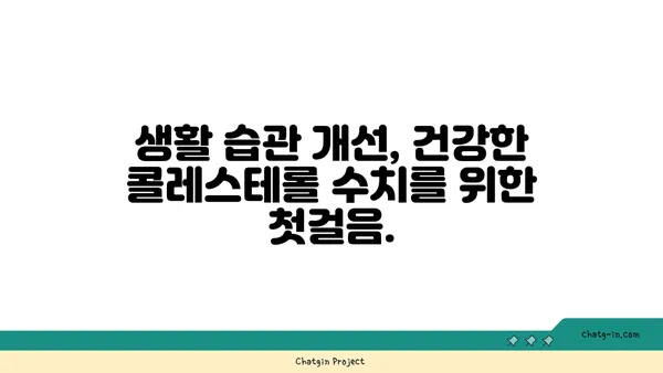 콜레스테롤 수치 낮추기| 3가지 필수 방법 | 건강, 식단, 운동, 생활습관