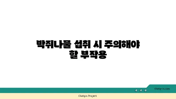 박쥐나물의 효능과 부작용| 섭취 시 주의사항 | 약초, 건강, 민간요법