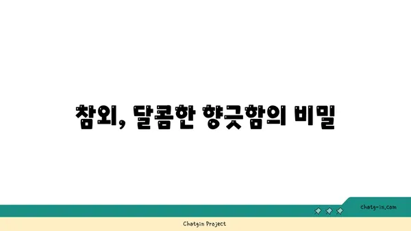 참외의 매력, 특별한 맛과 향의 비밀 | 참외 특징, 품종, 재배