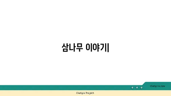 삼나무의 매력, 그 숨겨진 이야기 | 삼나무 효능, 재배, 활용, 나무 이야기