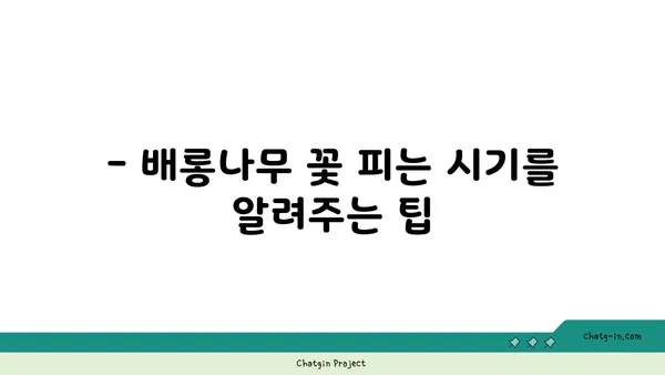 배롱나무 꽃 피는 시기와 관리법 | 배롱나무, 꽃, 개화, 관리, 팁