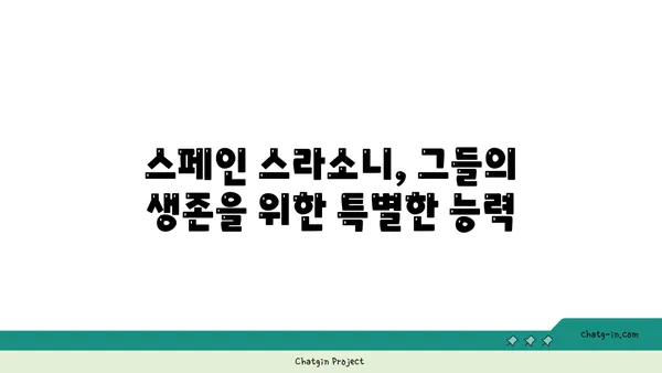 스페인 스라소니| 매혹적인 야생 고양이의 모든 것 | 스페인 고양이, 야생 동물, 동물 정보, 스페인 자연