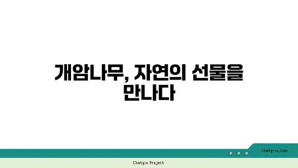 개암나무의 모든 것| 재배부터 효능까지 | 개암, 개암나무 효능, 개암나무 재배, 개암나무 열매, 개암 효능