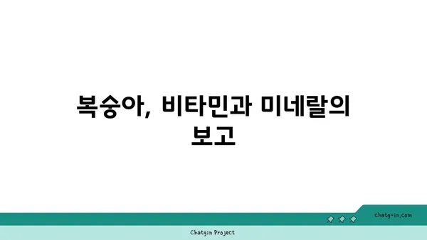 복숭아의 놀라운 효능과 영양 가치| 맛있게 건강 챙기는 방법 | 과일, 건강식품, 비타민, 미네랄