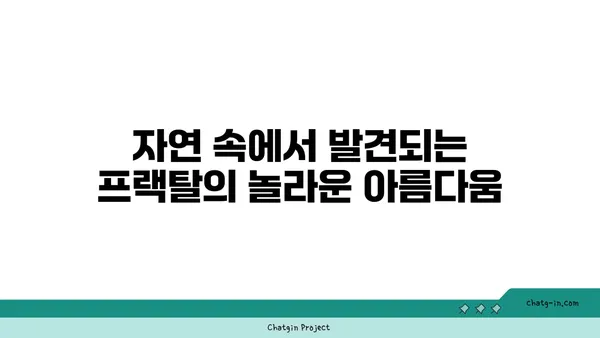 프랙탈의 매혹적인 세계| 자연과 예술 속의 무한한 패턴 | 프랙탈, 자기 유사성, 수학, 예술, 자연