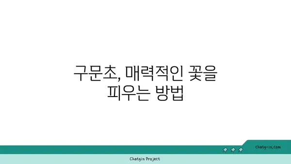 구문초 키우기 완벽 가이드 | 구문초, 재배, 관리, 번식, 효능