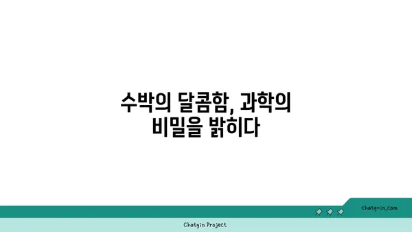 수박의 달콤함, 과학으로 풀어보는 비밀 | 수박, 과일, 당도, 과학, 재배