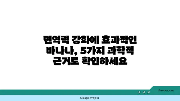 바나나, 면역력 강화에 효과적인 이유| 5가지 과학적 근거 | 면역력 증진, 건강 식단, 바나나 효능