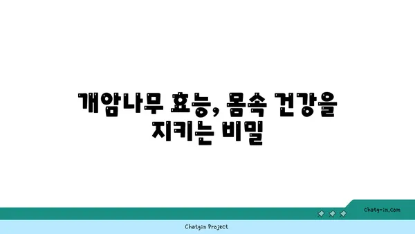 개암나무의 모든 것| 재배부터 효능까지 | 개암, 개암나무 효능, 개암나무 재배, 개암나무 열매, 개암 효능