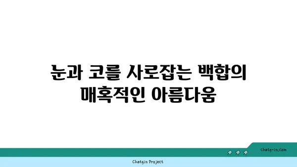 백합과 식물의 매력에 빠지다| 아름다움과 향기, 그리고 다양한 종류 | 백합, 릴리, 꽃, 식물, 원예