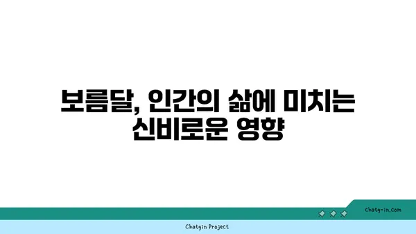 보름달 아래 펼쳐지는 신비로운 이야기 | 전설, 민담, 달의 영향