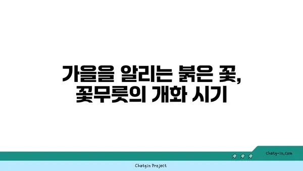 꽃무릇의 매혹적인 비밀| 피는 시기부터 전설까지 | 꽃무릇, 상사화, 꽃말, 전설, 개화시기, 의미