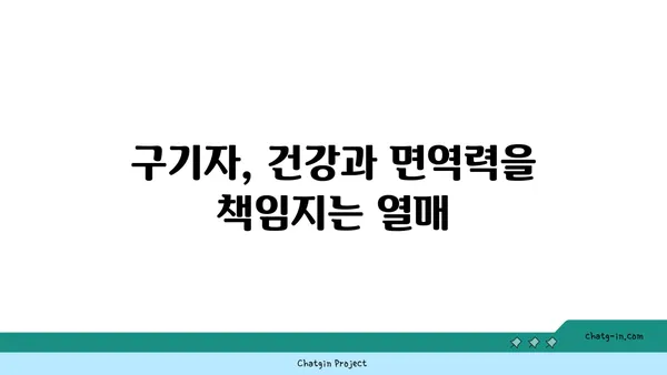 구기자나무 효능과 재배 | 건강, 면역력, 재배 정보, 효능