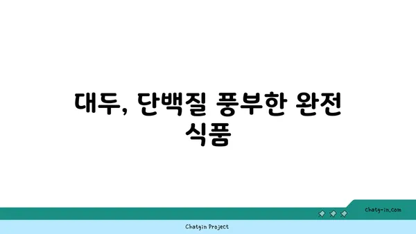 대두의 놀라운 효능과 영양 정보 | 건강, 식품, 단백질, 콩, 영양소