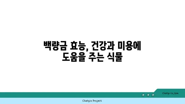 백량금 키우기 완벽 가이드 | 백량금, 재배, 관리, 번식, 효능