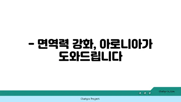 아로니아 효능 제대로 알아보기 | 혈관 건강, 항산화, 면역력 강화, 효능 비교, 아로니아 먹는 법, 아로니아 고르는 팁