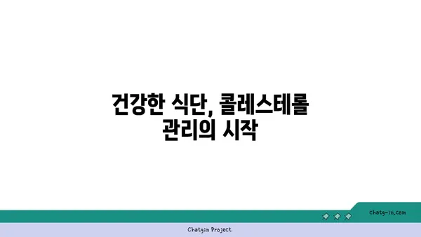 콜레스테롤 걱정 끝! 3가지 효과적인 도구로 건강 되찾기 | 콜레스테롤 관리, 건강 식단, 운동, 건강 정보