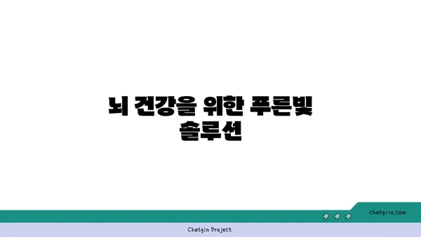 안토시아닌의 효능과 섭취 방법| 건강을 위한 푸른빛 솔루션 | 안토시아닌, 항산화, 눈 건강, 뇌 건강, 식품