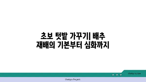 배추 재배 가이드| 싱싱한 배추 수확을 위한 완벽한 안내 | 배추, 재배, 농사, 텃밭, 채소,