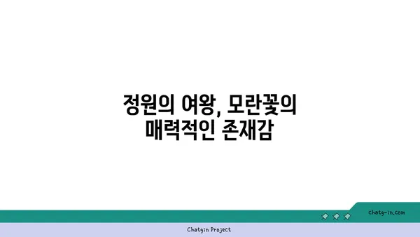 모란의 매력에 빠지다| 꽃말, 전설, 그리고 아름다움 | 모란꽃, 꽃, 식물, 전설, 의미, 아름다움