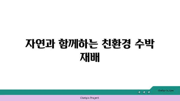 수박 농사, 지속 가능한 미래를 위한 혁신 | 친환경 재배, 수박 품종 개량, 탄소 발자국 줄이기