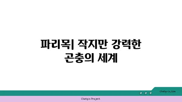 파리목의 비밀| 생김새, 생태, 그리고 퇴치법 | 파리목, 곤충, 해충, 퇴치