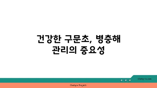 구문초 키우기 완벽 가이드 | 구문초, 재배, 관리, 번식, 효능