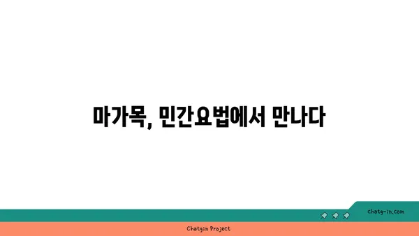 마가목의 효능과 부작용| 섭취 방법 및 주의사항 | 건강, 약초, 민간요법