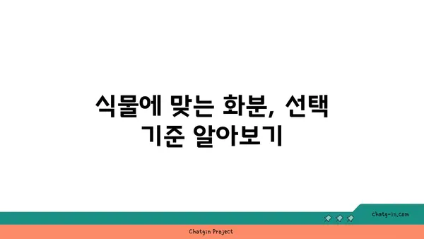 나만의 화분, 어떻게 골라야 할까요? | 화분 종류, 선택 가이드, 식물 맞춤 팁