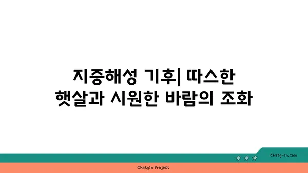 지중해성 기후의 특징과 대표적인 지역| 햇살 가득한 아름다운 기후의 비밀 | 지중해, 기후, 날씨, 여행, 식물