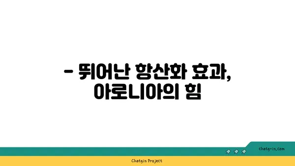 아로니아 효능 제대로 알아보기 | 혈관 건강, 항산화, 면역력 강화, 효능 비교, 아로니아 먹는 법, 아로니아 고르는 팁