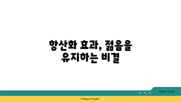 양파의 놀라운 효능과 영양 가치| 건강을 위한 선택 | 건강, 식단, 면역력, 항산화, 채소, 요리