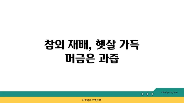 참외의 매력, 특별한 맛과 향의 비밀 | 참외 특징, 품종, 재배