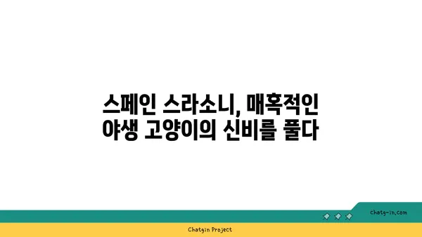 스페인 스라소니| 매혹적인 야생 고양이의 모든 것 | 스페인 고양이, 야생 동물, 동물 정보, 스페인 자연