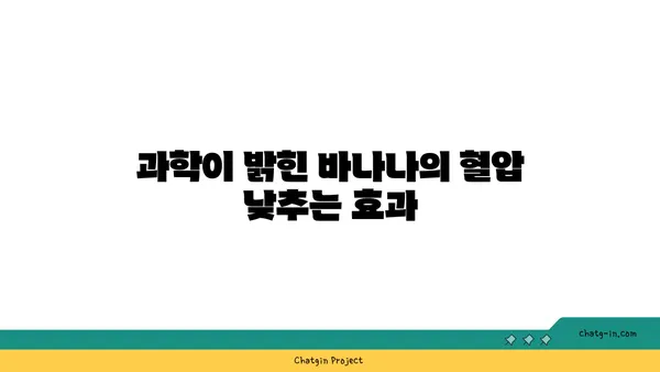 바나나, 혈압 낮추는 힘| 과학적 근거와 효과적인 섭취 방법 | 혈압, 고혈압, 건강, 식단