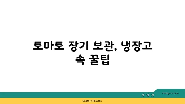 토마토 장기 저장| 계절을 넘어 풍부한 과일을 즐기는 5가지 비법 | 토마토 보관, 토마토 저장법, 토마토 장기 보관