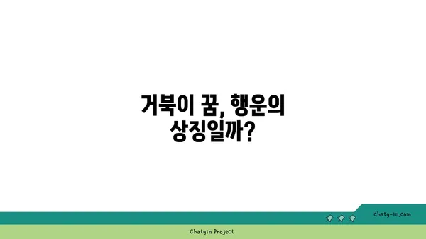 거북이 꿈, 길몽일까? 흉몽일까? | 거북 꿈 해몽, 꿈 해석, 꿈 의미, 거북 꿈 풀이