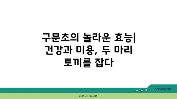 구문초 키우기 완벽 가이드 | 구문초, 재배, 관리, 번식, 효능