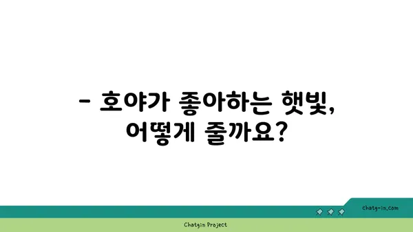 호야 키우기 완벽 가이드 | 호야 종류, 물 주기, 햇빛, 번식, 병충해