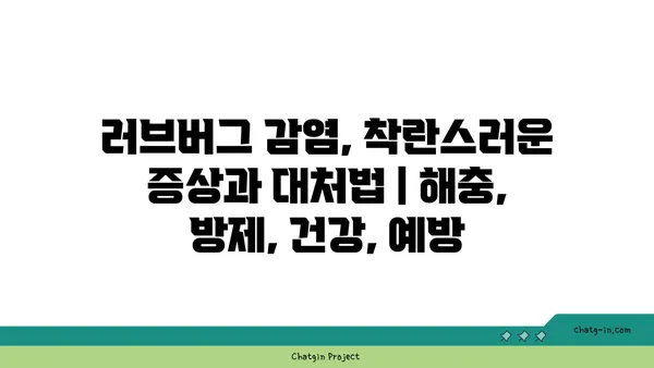 러브버그 감염, 착란스러운 증상과 대처법 | 해충, 방제, 건강, 예방