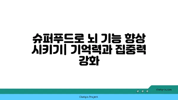 두뇌와 심장 건강을 혁신하는 5가지 슈퍼푸드 | 건강 식단, 뇌 기능 향상, 심혈관 건강