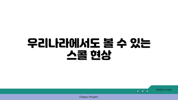 스콜 현상의 비밀| 원인과 특징, 그리고 예측 가능한가? | 기상 현상, 폭우, 갑작스러운 비