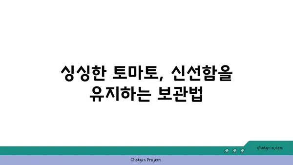 토마토 장기 저장| 계절을 넘어 풍부한 과일을 즐기는 5가지 비법 | 토마토 보관, 토마토 저장법, 토마토 장기 보관