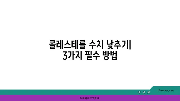 콜레스테롤 수치 낮추기| 3가지 필수 방법 | 건강, 식단, 운동, 생활습관