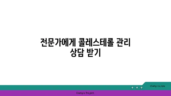 콜레스테롤 수치가 말해주는 건? | 건강, 심혈관 질환, 수치 해석, 관리 팁